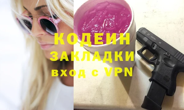 гидра Богородицк