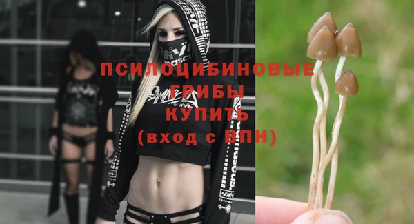 трава Богданович