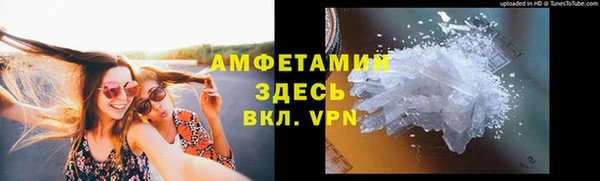 гидра Богородицк