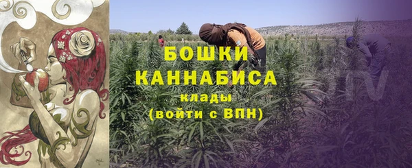 стаф Бронницы