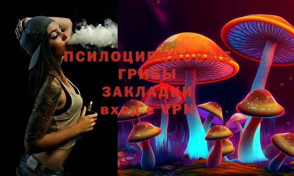 синтетический гашиш Богородск