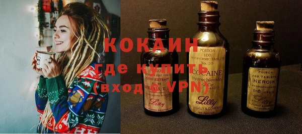 гидра Богородицк