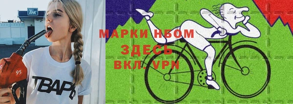 гидра Богородицк