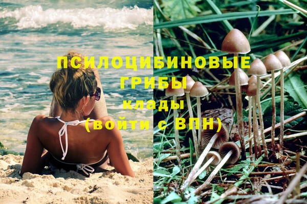 трава Богданович