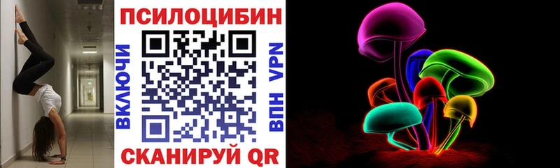 Псилоцибиновые грибы Psilocybine cubensis  купить наркотики цена  гидра tor  Калуга 
